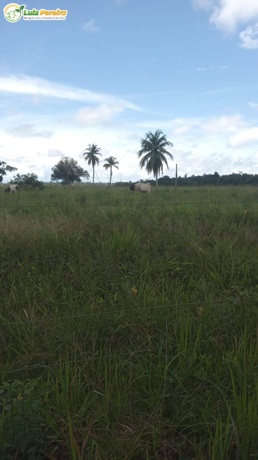 Terreno à venda, 7744000m² - Foto 6