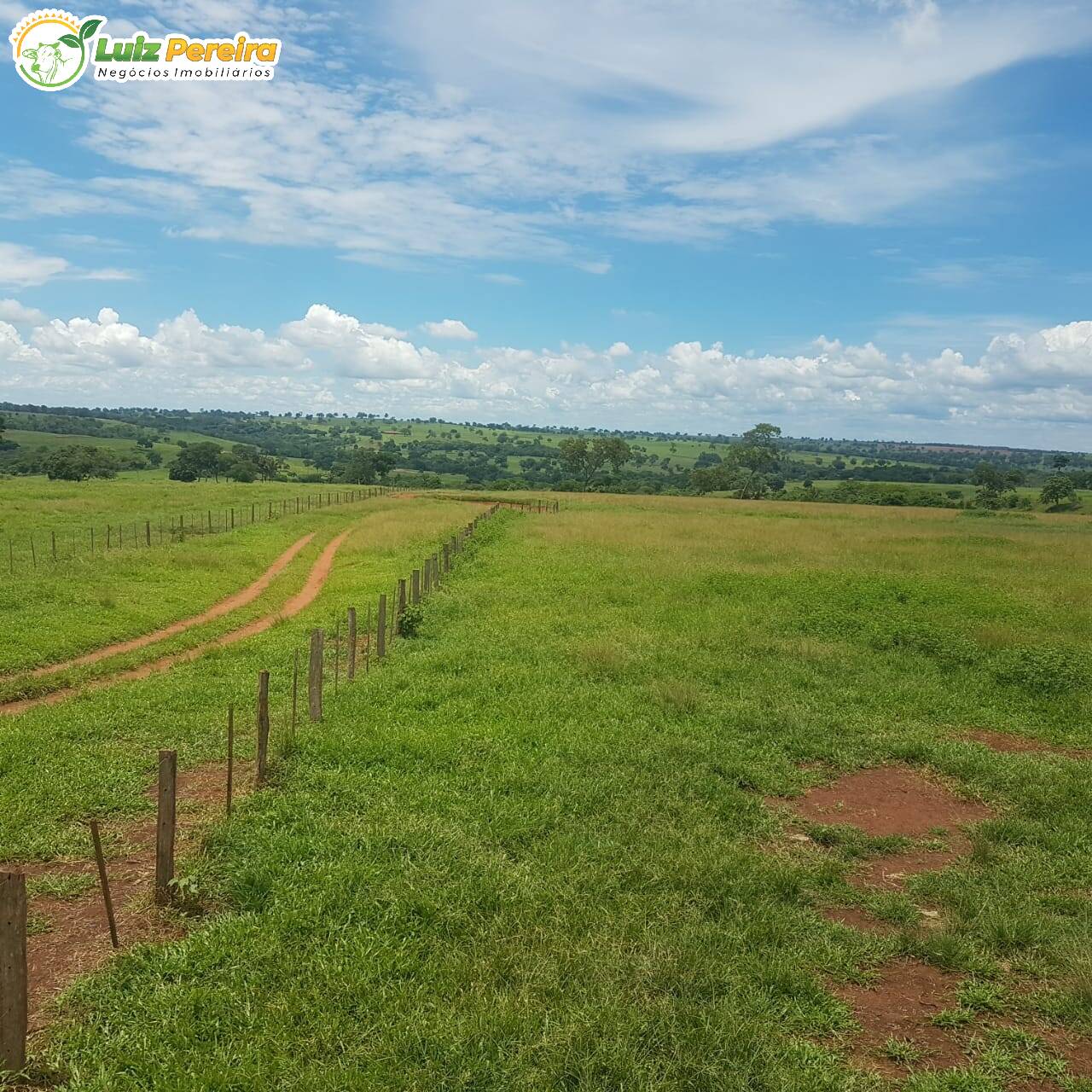 Fazenda à venda, 42500000m² - Foto 10