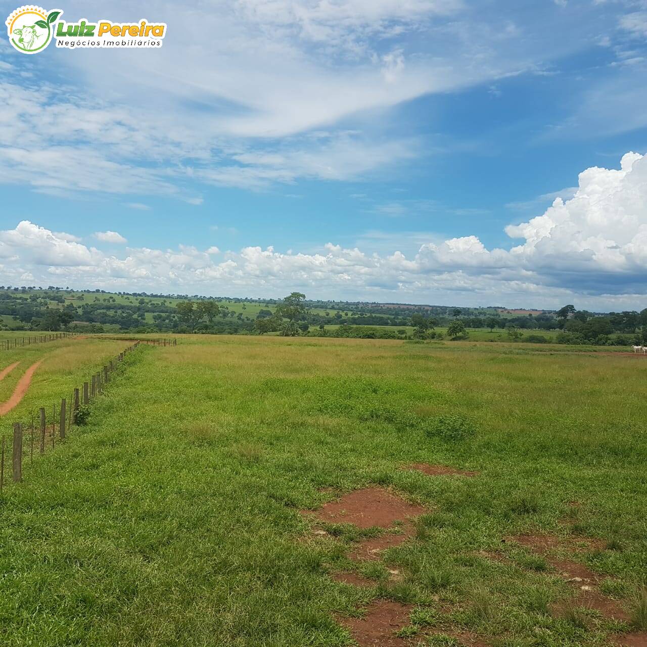 Fazenda à venda, 42500000m² - Foto 12