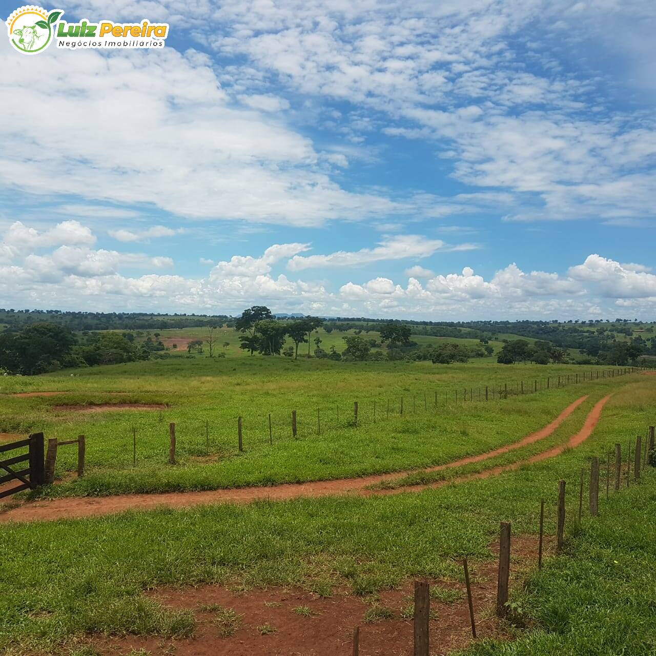 Fazenda à venda, 42500000m² - Foto 11