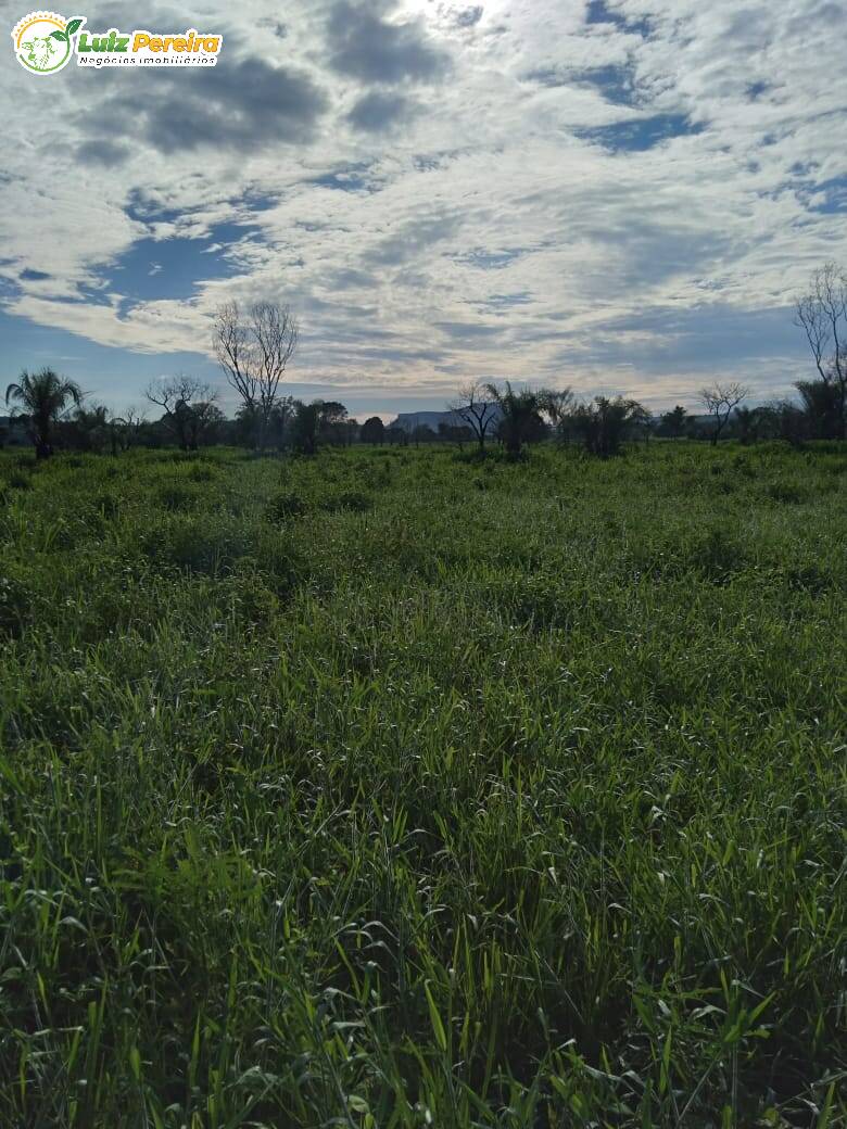 Fazenda à venda, 42500000m² - Foto 8