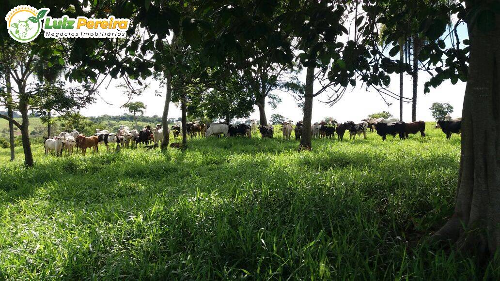 Fazenda à venda, 42500000m² - Foto 9