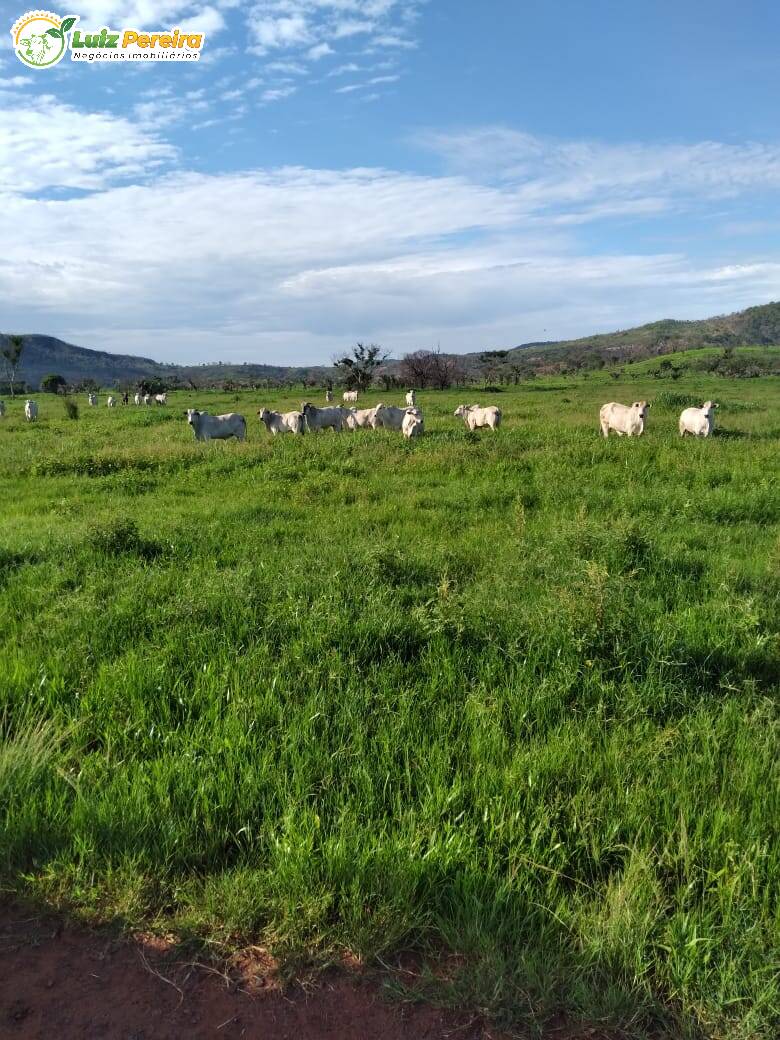 Fazenda à venda, 42500000m² - Foto 2