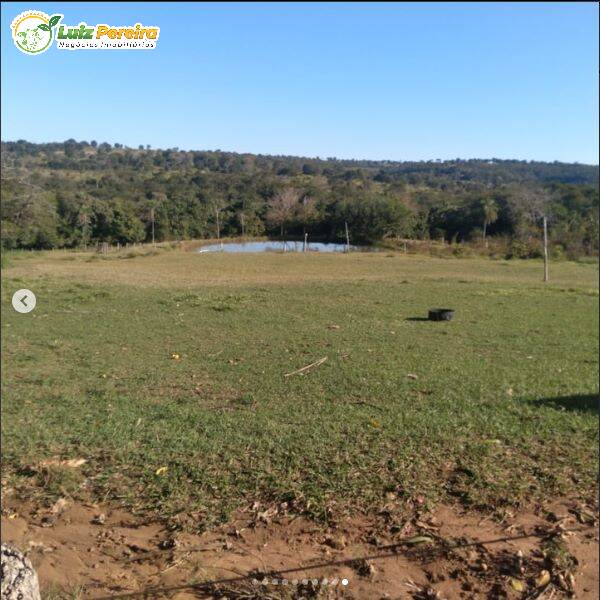Fazenda-Sítio-Chácara, 250 hectares - Foto 2