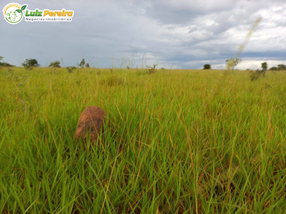 Fazenda à venda, 24170000m² - Foto 5