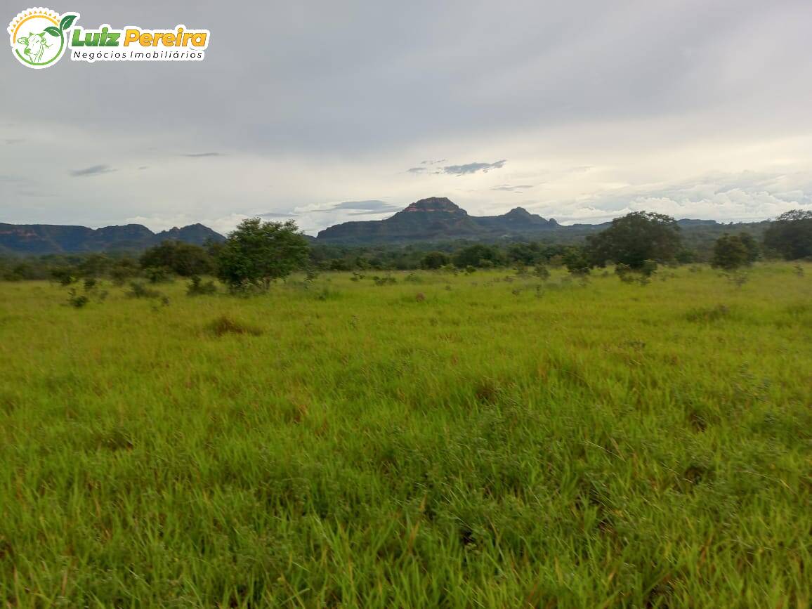 Fazenda à venda, 24170000m² - Foto 6