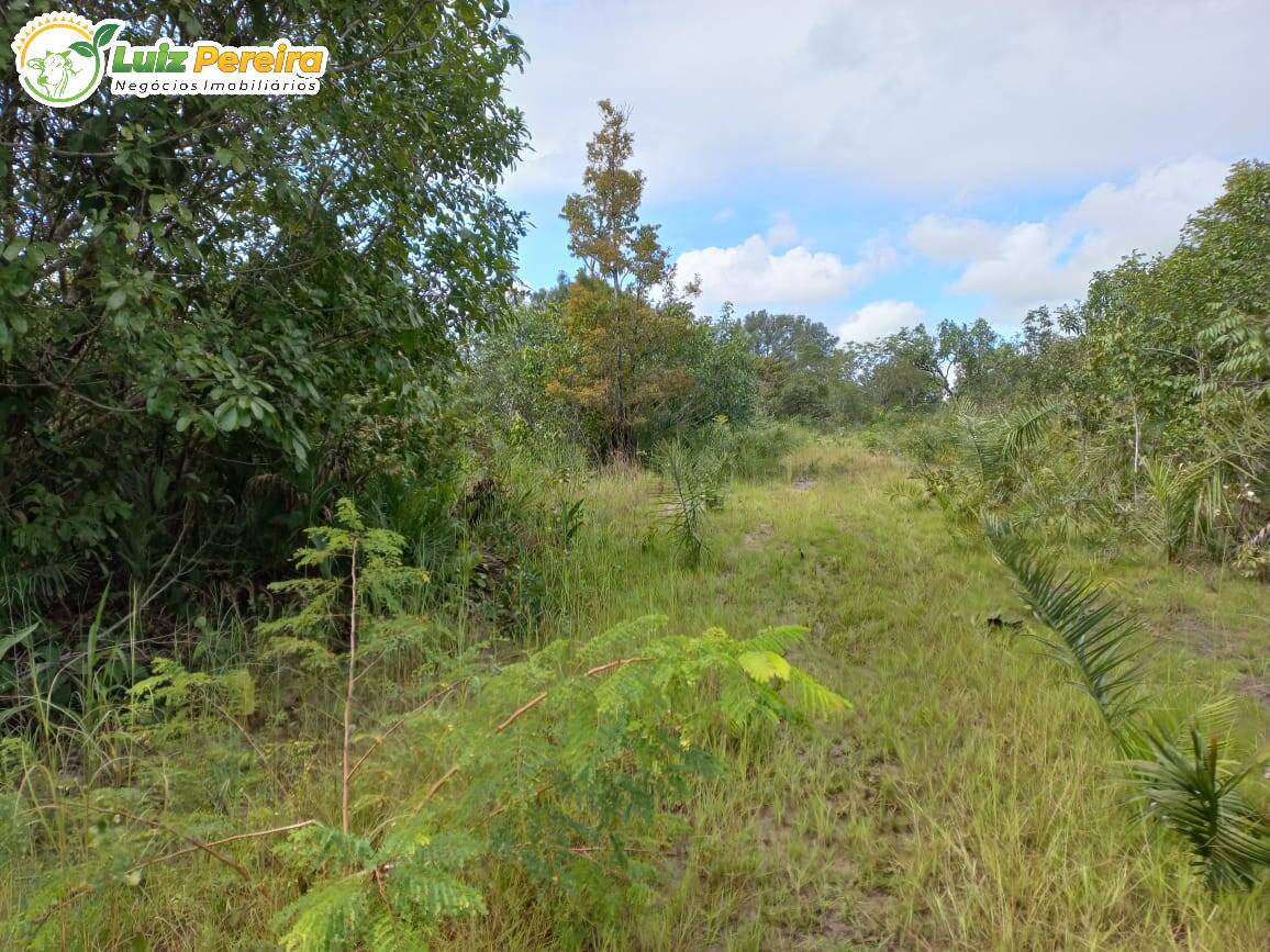 Fazenda à venda, 24170000m² - Foto 7