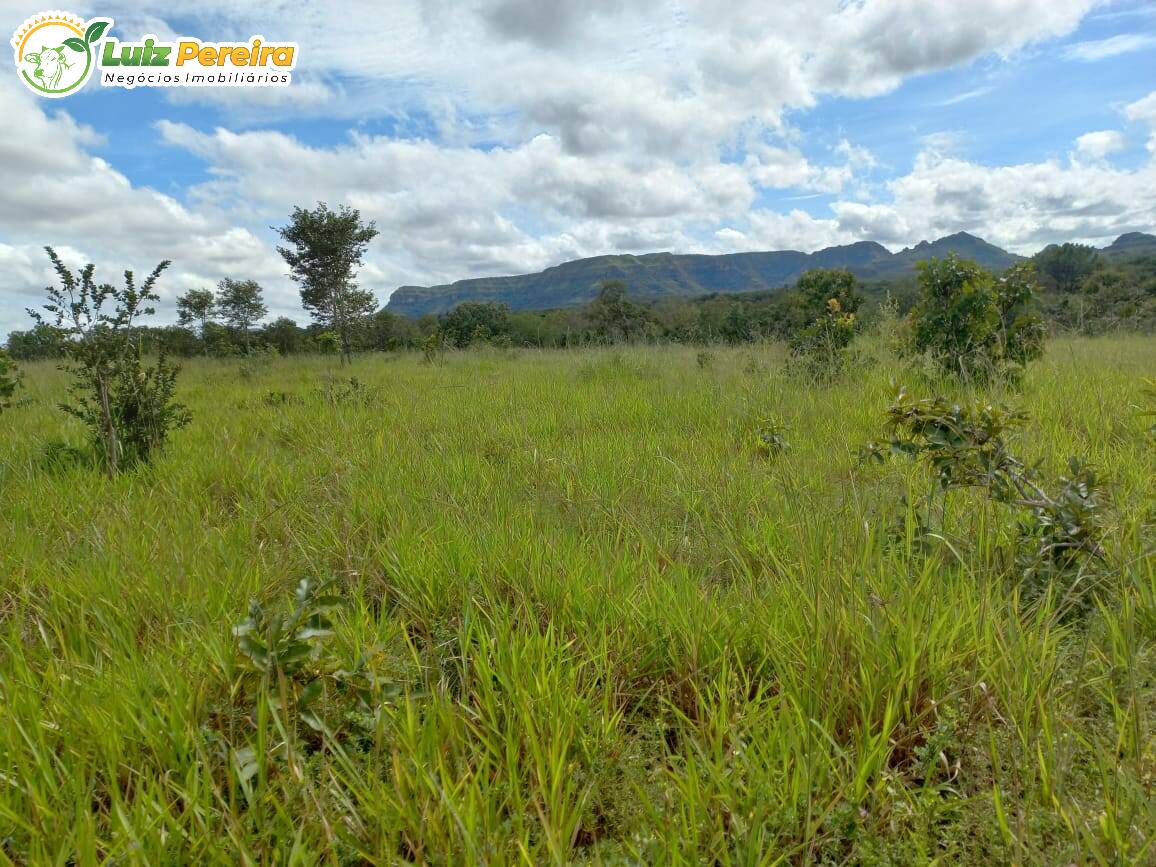 Fazenda à venda, 24170000m² - Foto 8