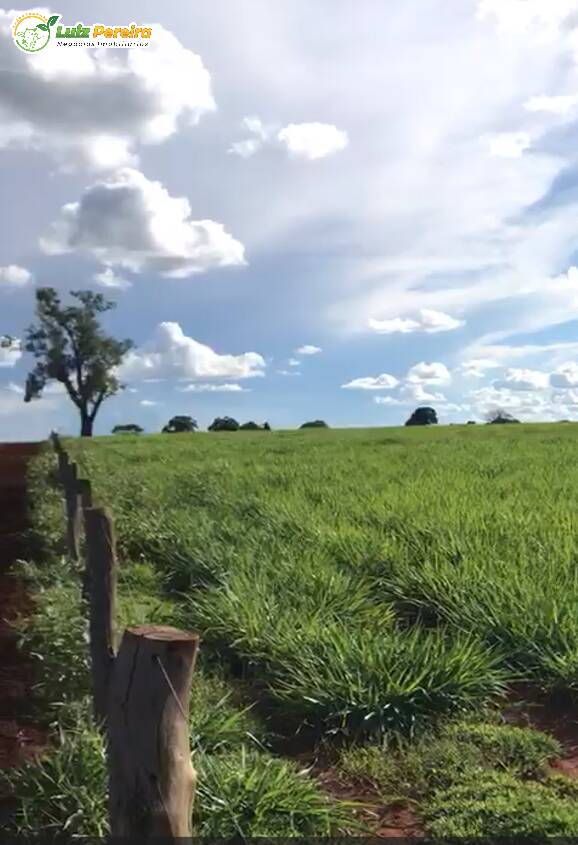 Fazenda à venda, 3400000m² - Foto 5