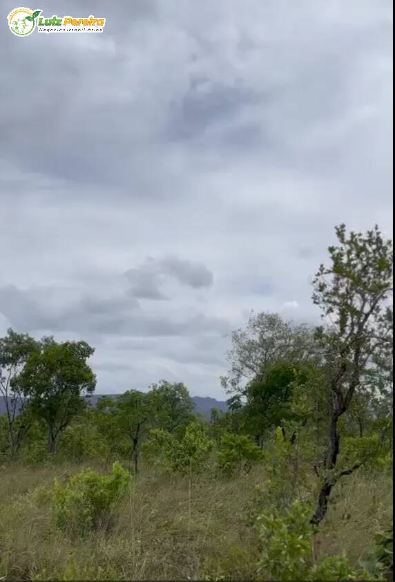 Fazenda à venda, 21780000m² - Foto 5