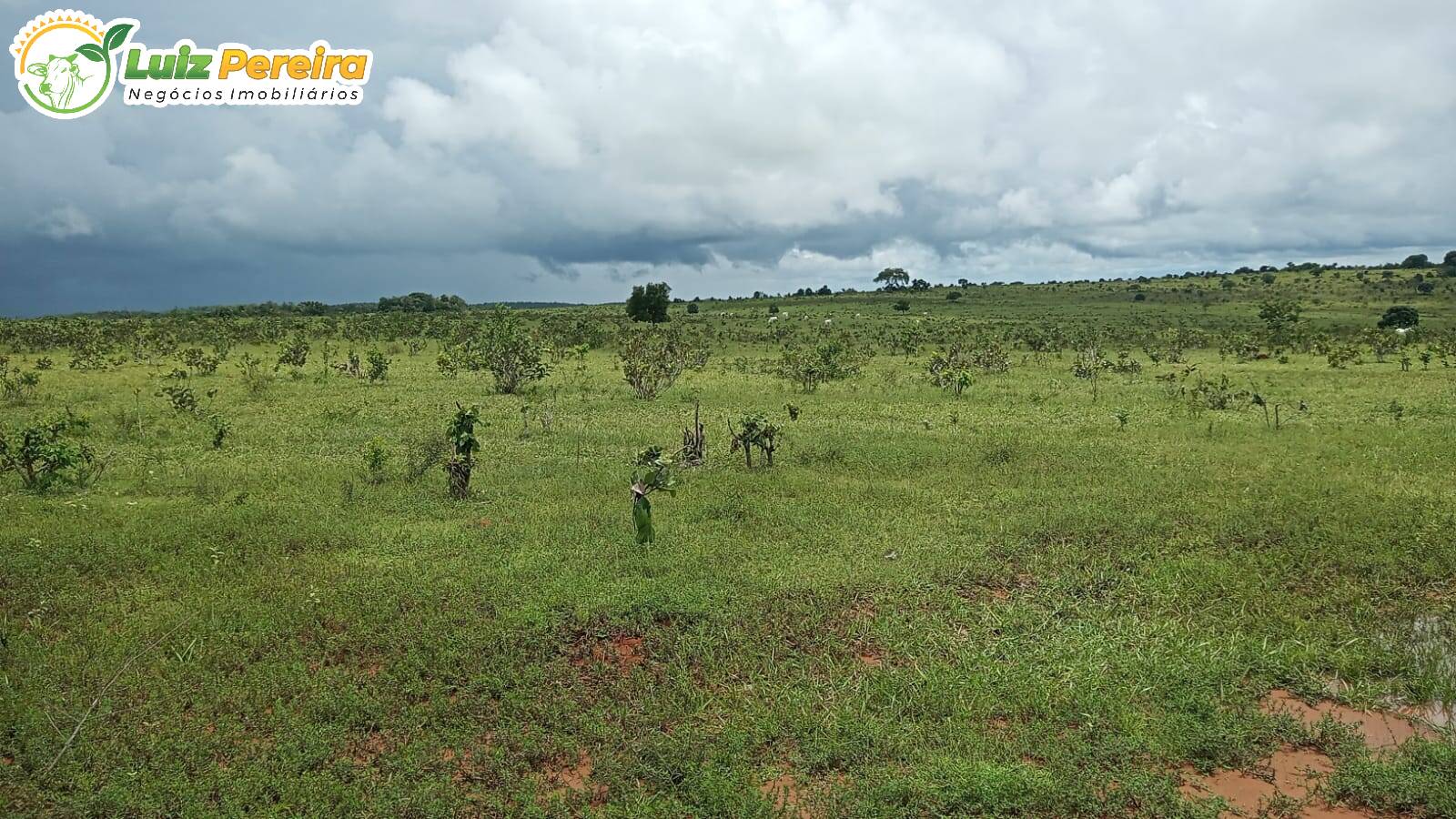 Fazenda à venda, 730m² - Foto 6