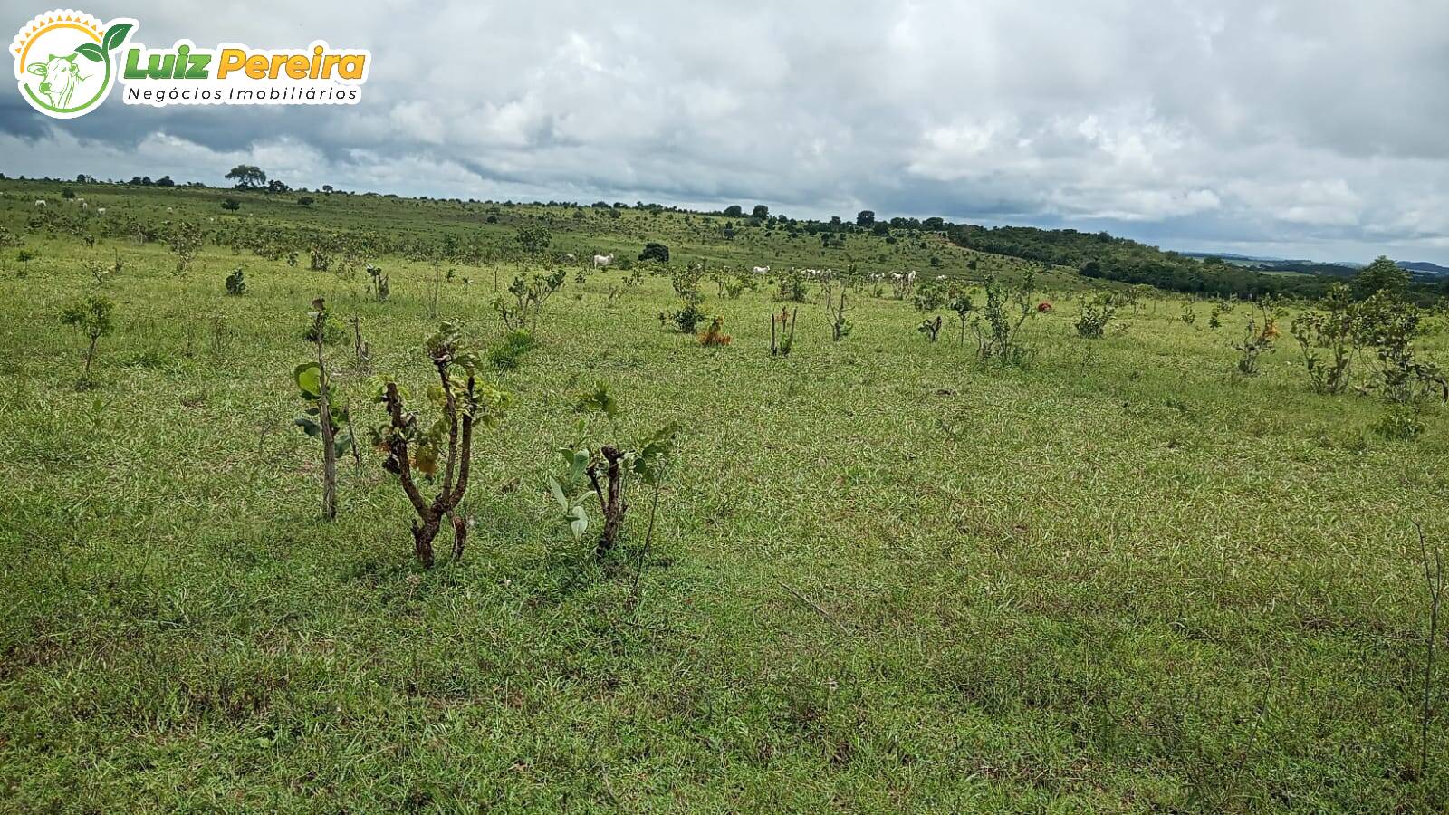 Fazenda à venda, 730m² - Foto 7