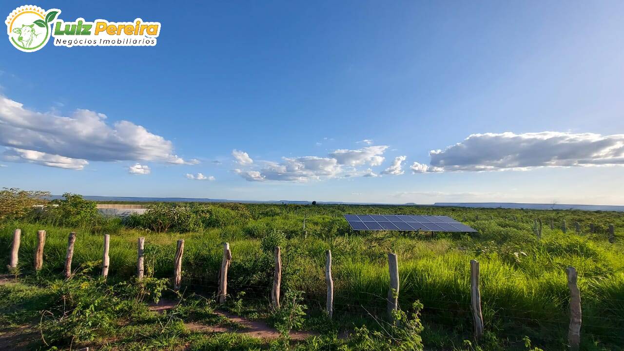 Fazenda à venda, 65000000m² - Foto 6