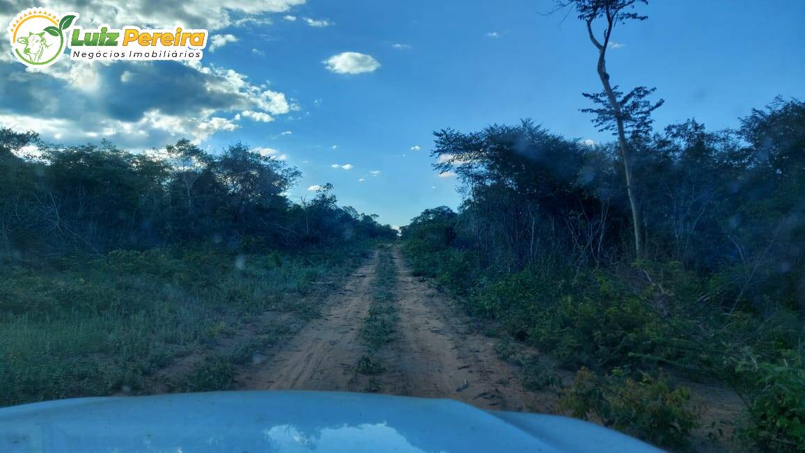 Fazenda à venda, 65000000m² - Foto 8