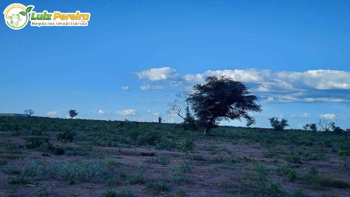 Fazenda à venda, 65000000m² - Foto 10