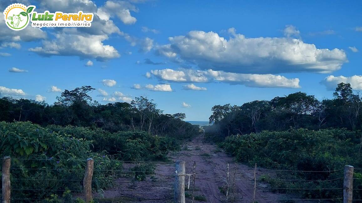 Fazenda à venda, 65000000m² - Foto 12