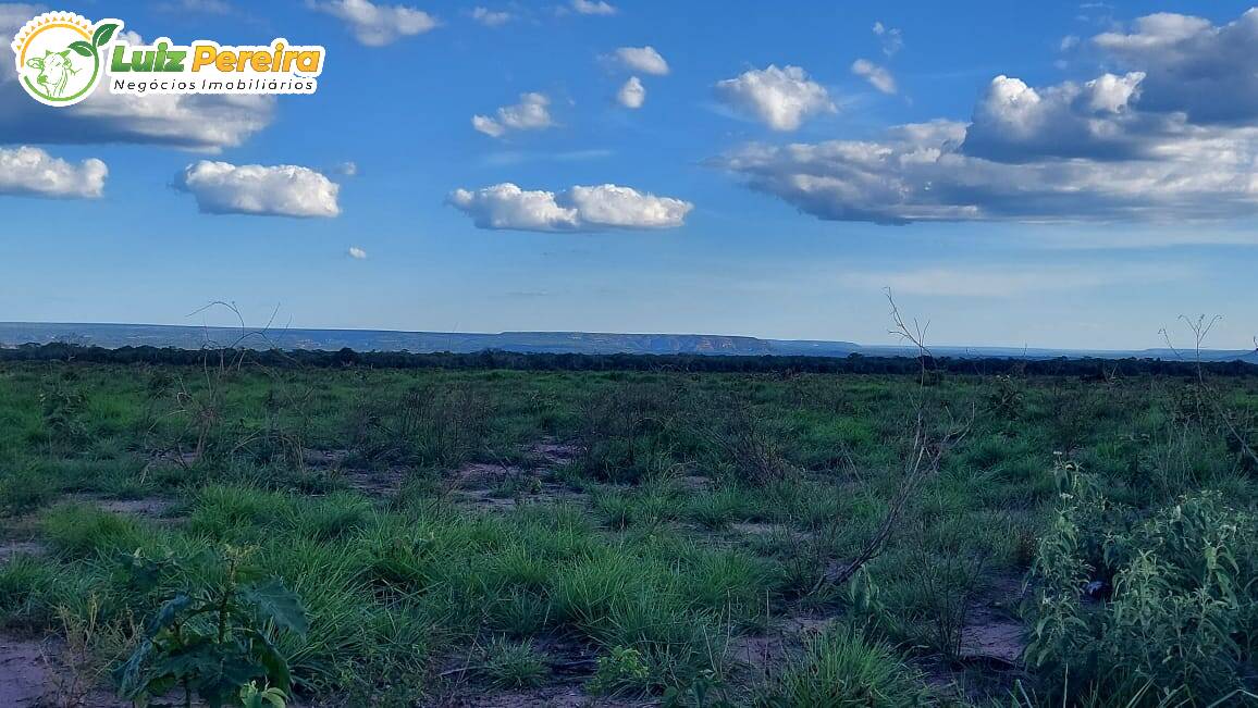 Fazenda à venda, 65000000m² - Foto 7