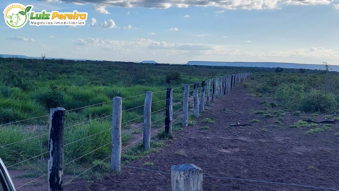 Fazenda à venda, 65000000m² - Foto 31