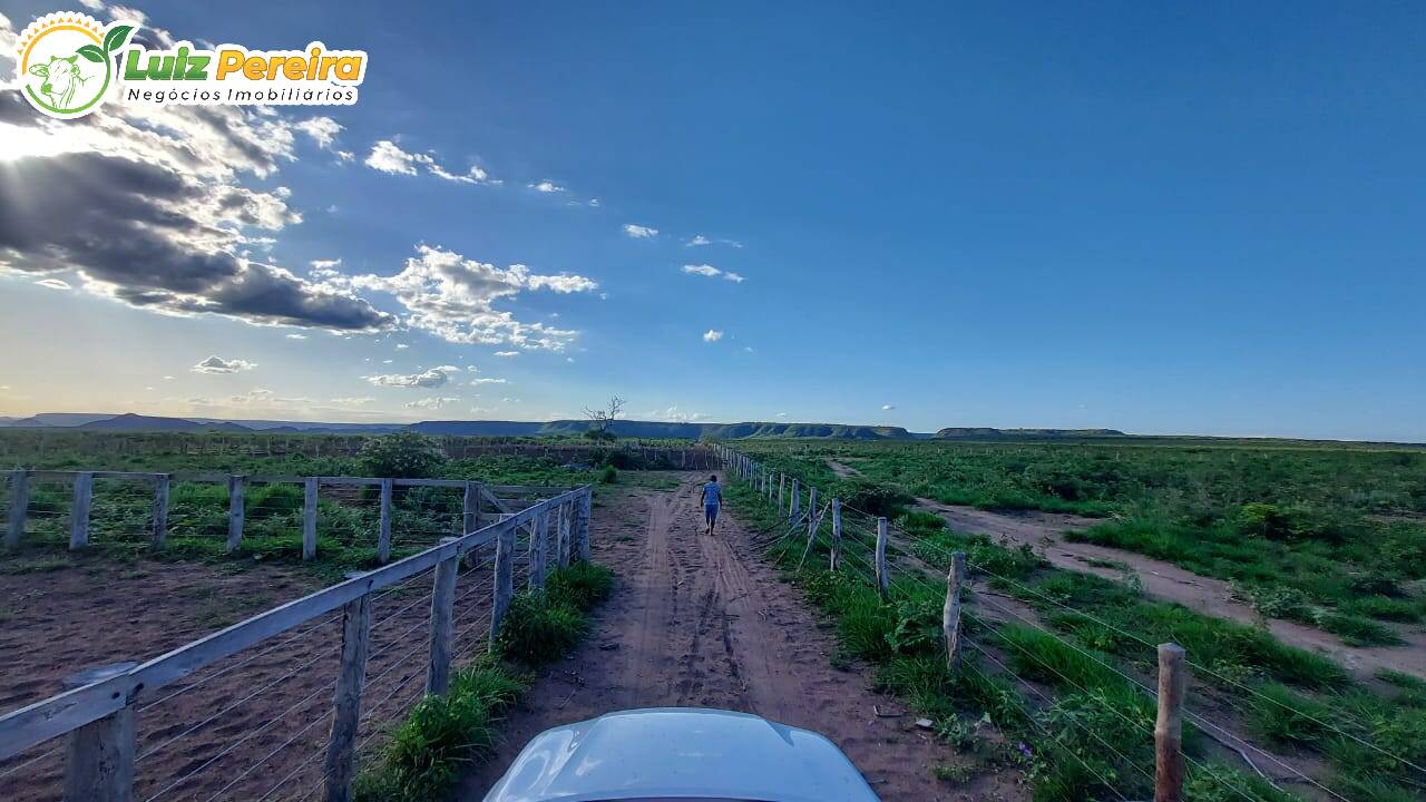 Fazenda à venda, 65000000m² - Foto 11