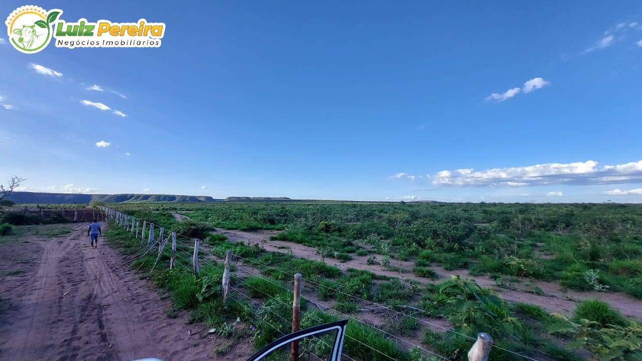 Fazenda à venda, 65000000m² - Foto 3