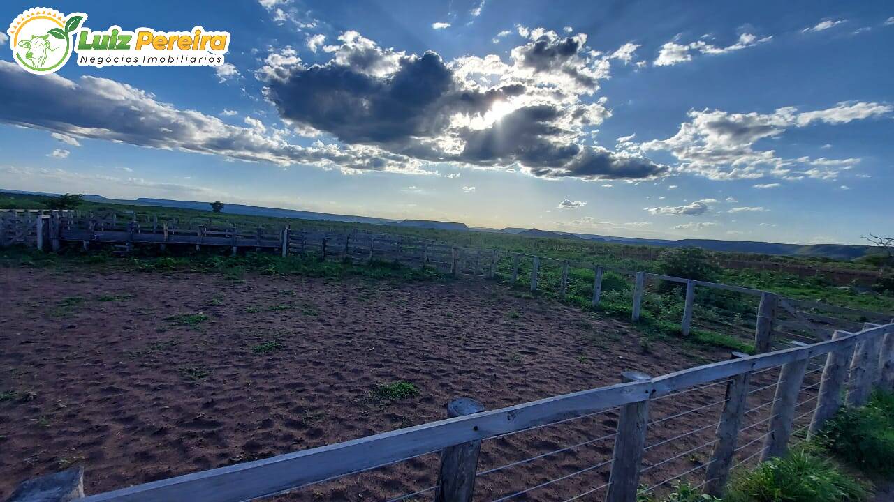 Fazenda à venda, 65000000m² - Foto 9