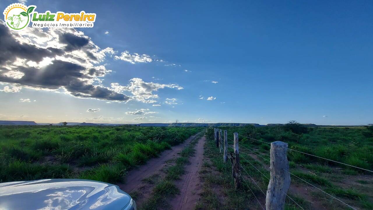 Fazenda à venda, 65000000m² - Foto 14