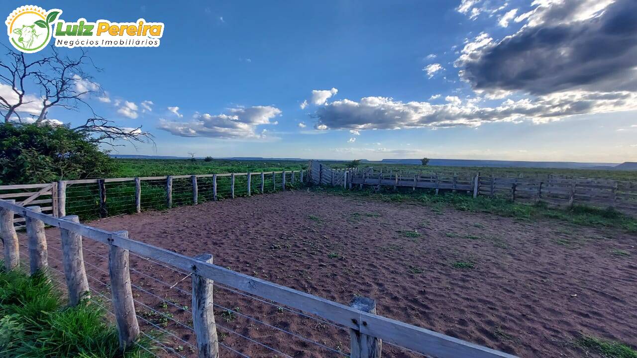 Fazenda à venda, 65000000m² - Foto 30