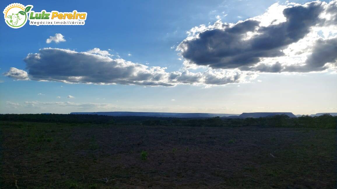 Fazenda à venda, 65000000m² - Foto 16