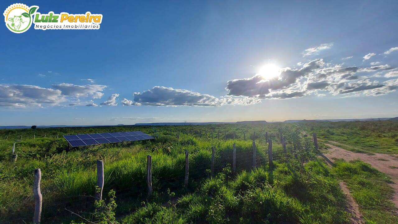 Fazenda à venda, 65000000m² - Foto 4