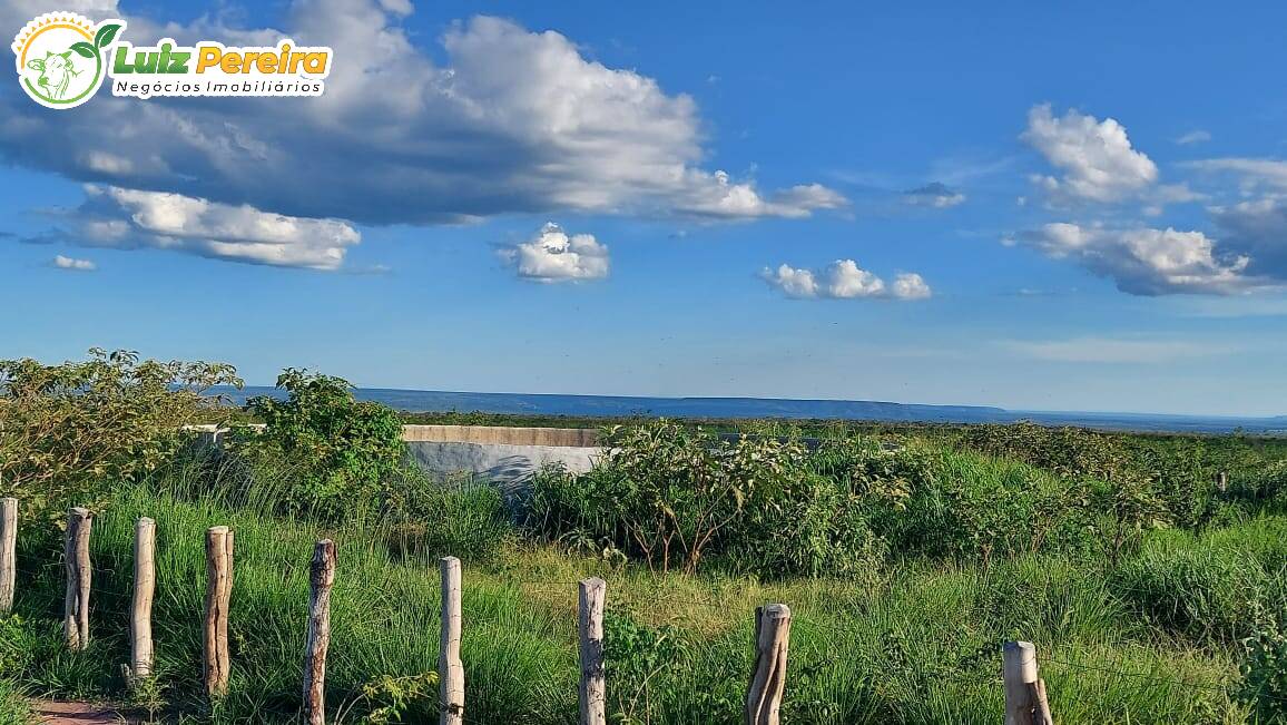 Fazenda à venda, 65000000m² - Foto 1