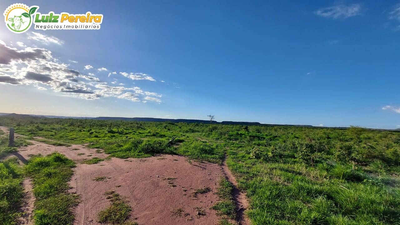 Fazenda à venda, 65000000m² - Foto 33