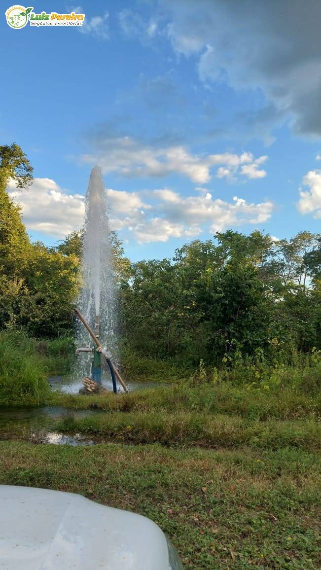 Fazenda à venda, 65000000m² - Foto 19