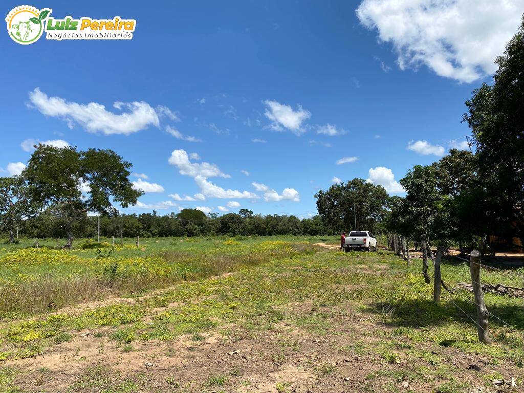 Fazenda à venda, 65000000m² - Foto 25