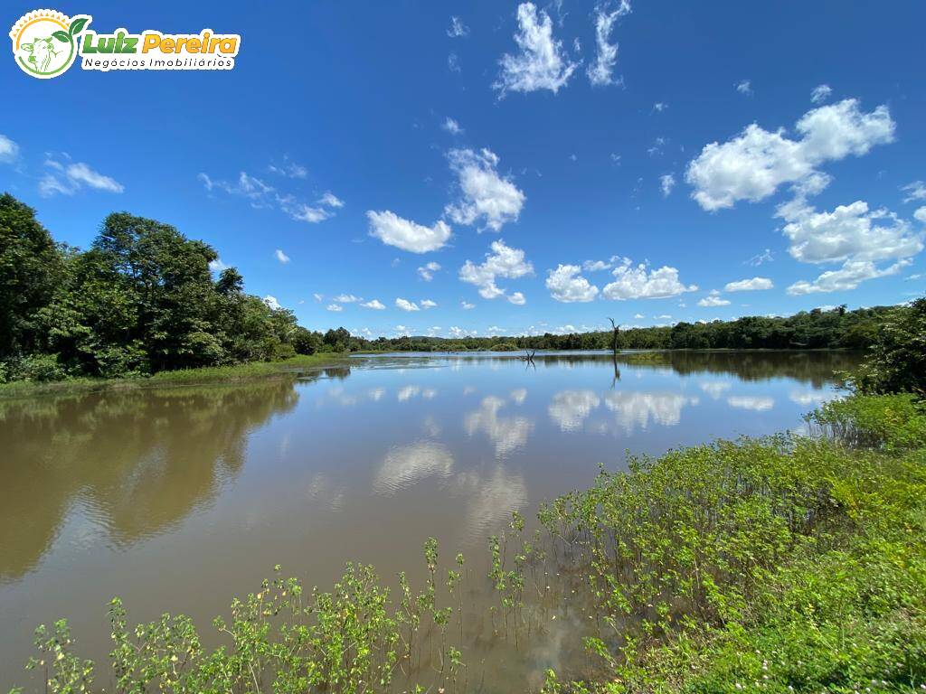 Fazenda à venda, 65000000m² - Foto 24