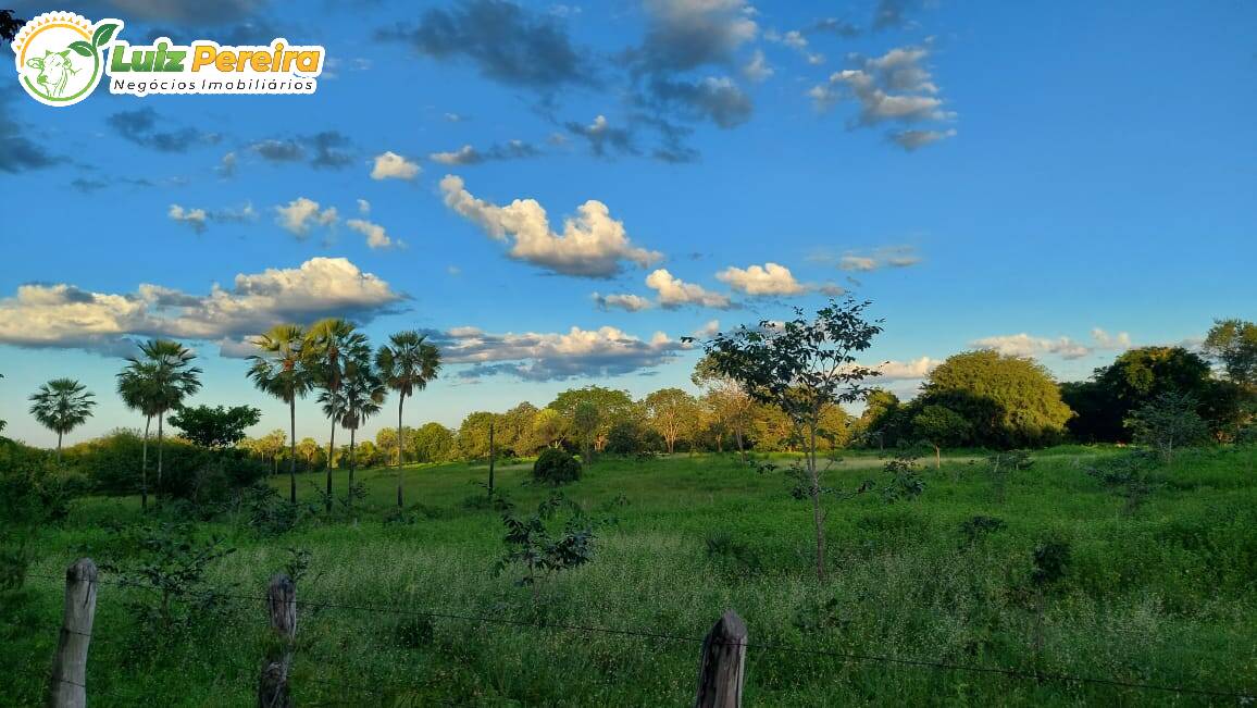 Fazenda à venda, 65000000m² - Foto 21