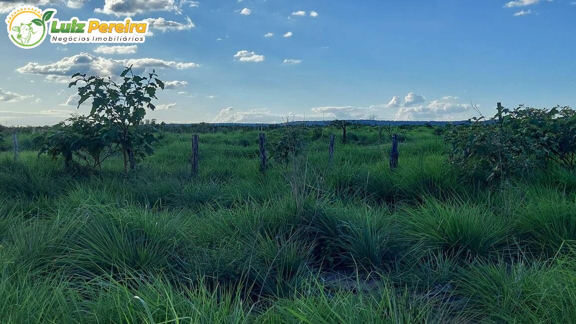 Fazenda à venda, 65000000m² - Foto 23