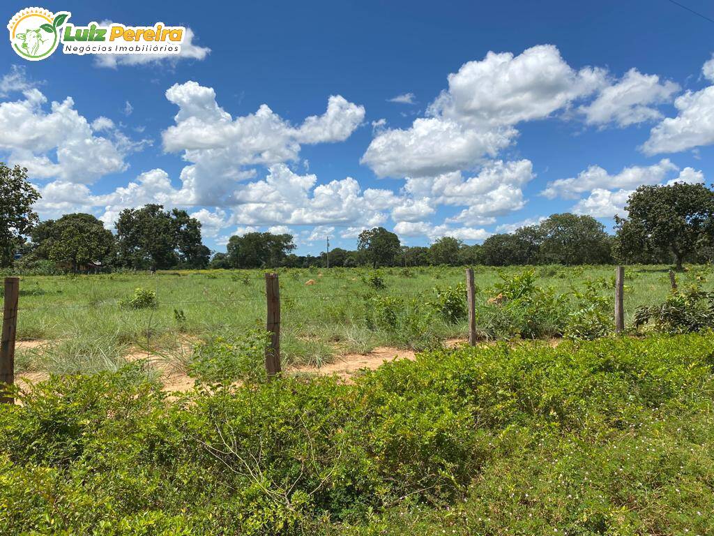 Fazenda à venda, 65000000m² - Foto 27