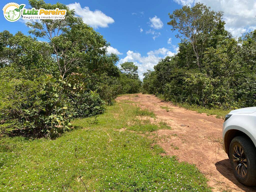 Fazenda à venda, 65000000m² - Foto 32