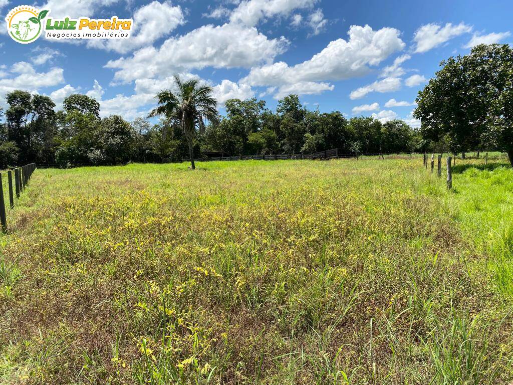 Fazenda à venda, 65000000m² - Foto 2