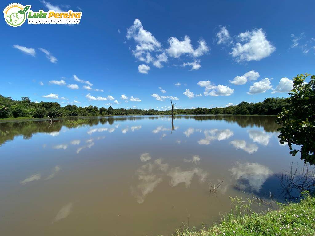 Fazenda à venda, 65000000m² - Foto 5