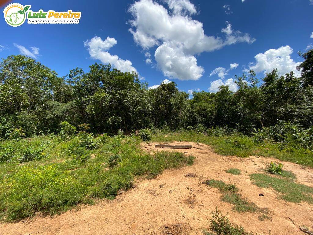 Fazenda à venda, 65000000m² - Foto 36