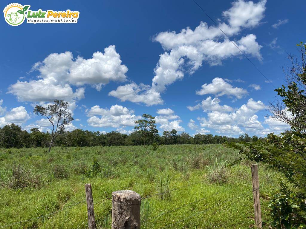 Fazenda à venda, 65000000m² - Foto 39