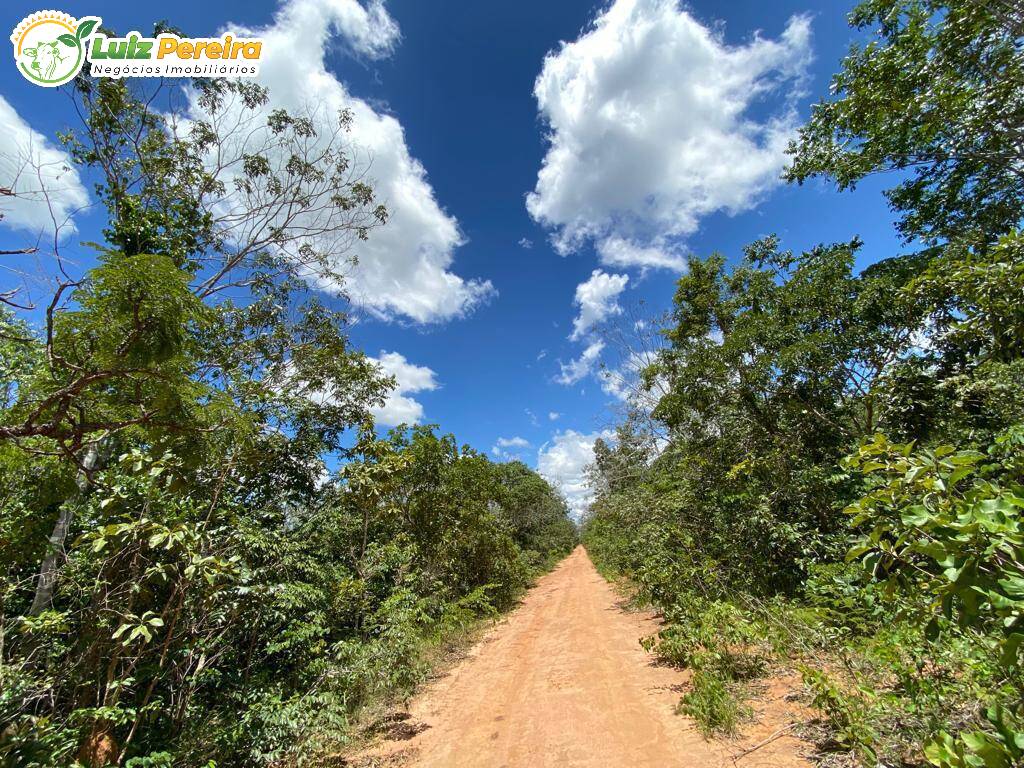 Fazenda à venda, 65000000m² - Foto 38