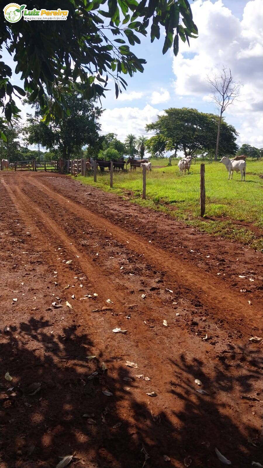 Fazenda à venda, 68700000m² - Foto 12