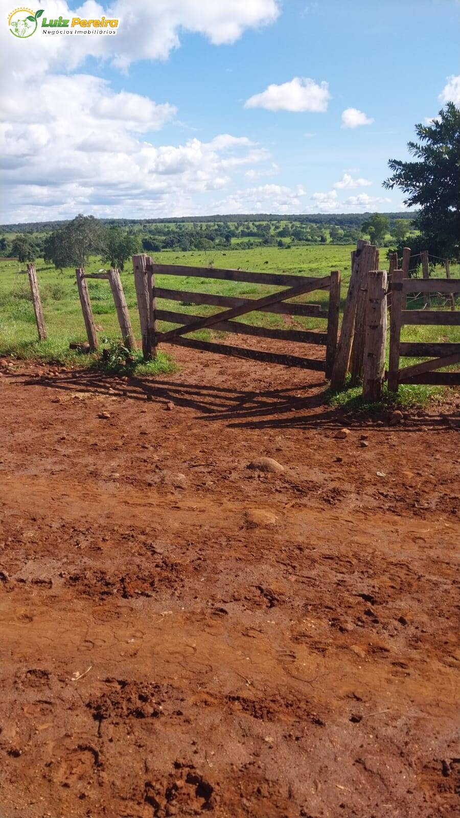 Fazenda à venda, 68700000m² - Foto 5