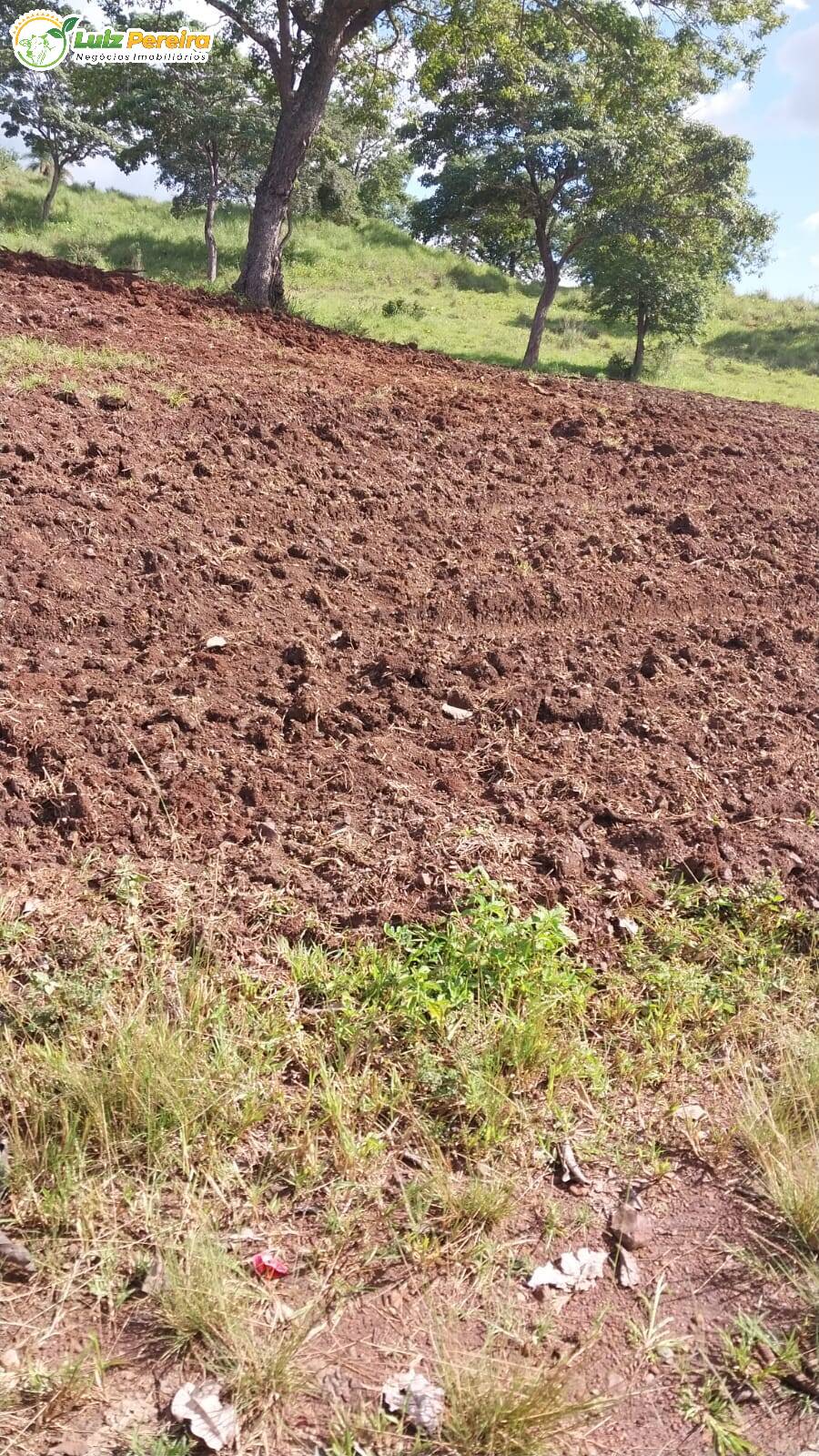 Fazenda à venda, 68700000m² - Foto 10