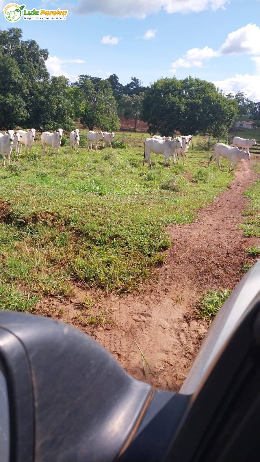 Fazenda à venda, 68700000m² - Foto 11