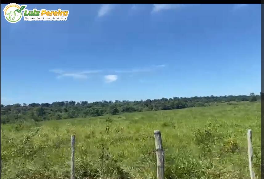 Fazenda-Sítio-Chácara, 380 hectares - Foto 1