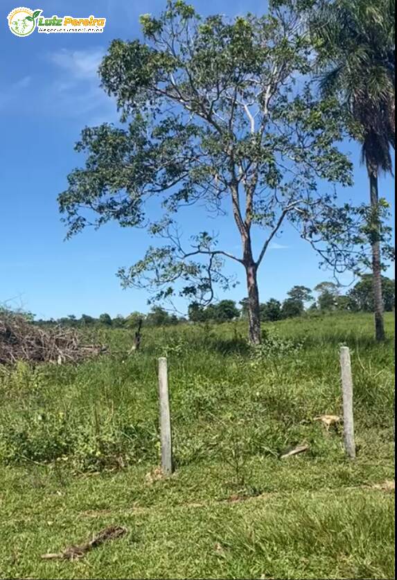 Fazenda à venda, 3800000m² - Foto 9