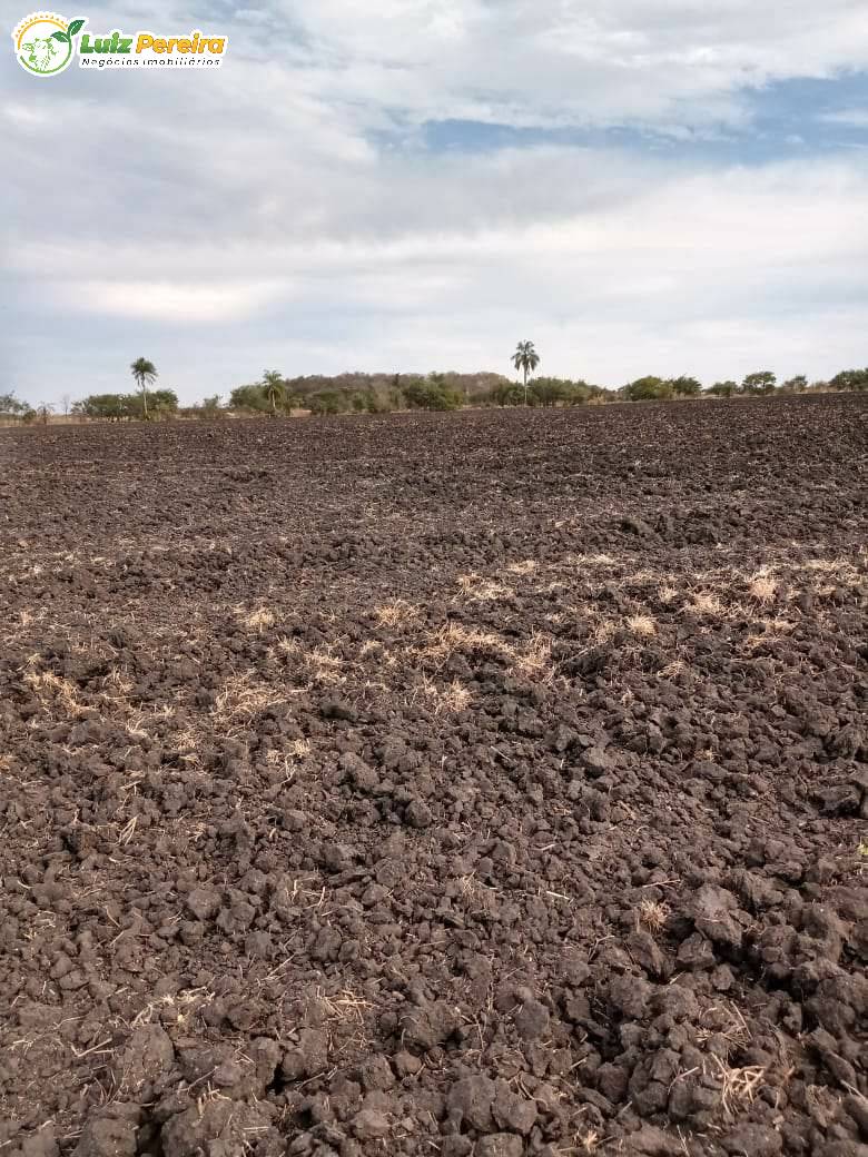 Fazenda à venda, 18000000m² - Foto 9